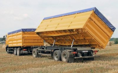 Услуги зерновозов для перевозки зерна - Хабаровск, цены, предложения специалистов